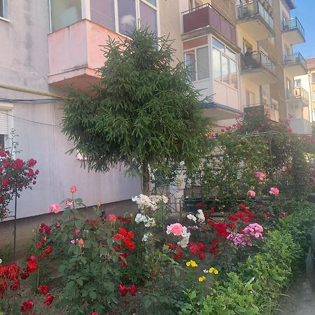 Cazare Medias, Apartament Modern Dış mekan fotoğraf